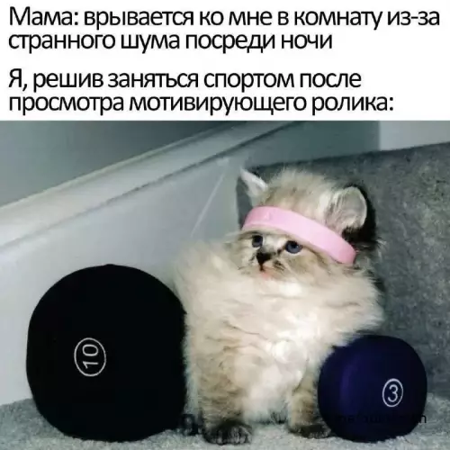 Смешная картинка №666758