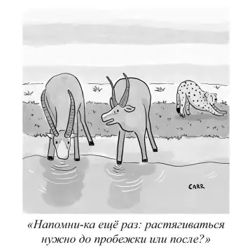 Спортсмены, вы тут? 😂🏃‍♂️ - Напомни-ка ещё раз: растягиваться нужно до пробежки или после?