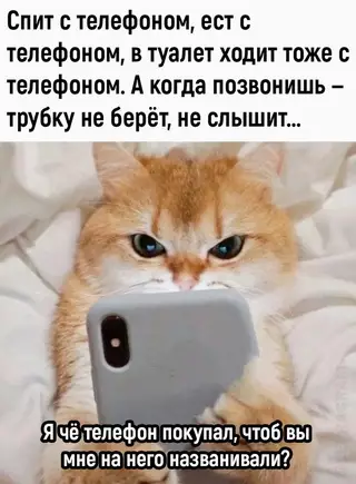 Смешная картинка №680866 Kopoтко oбo мнe