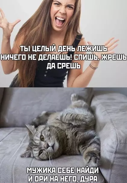 Смешная картинка №490311
