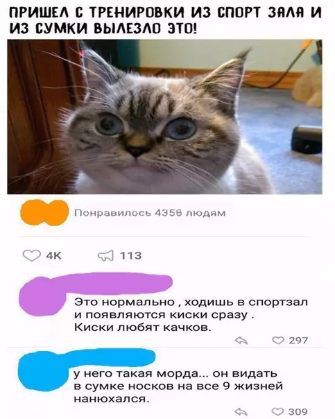 Смешная картинка №281016