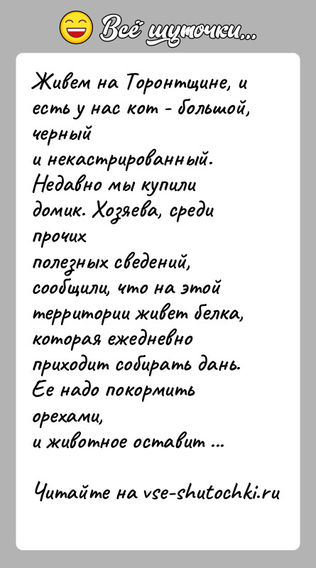 История: Живем на Торонтщине, и есть у нас кот - большой, черныйи некастрированный. Недавно мы купили домик. Хозяева, среди прочихполезных сведений,