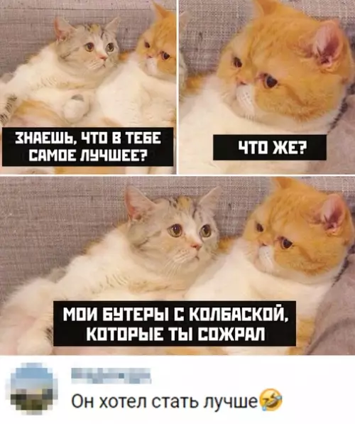 Смешная картинка №444152