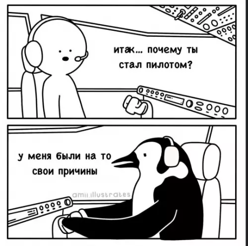 Когда решил сменить профессию 🐧✈️ - итак... почему ты стал пилотом? у меня были на то