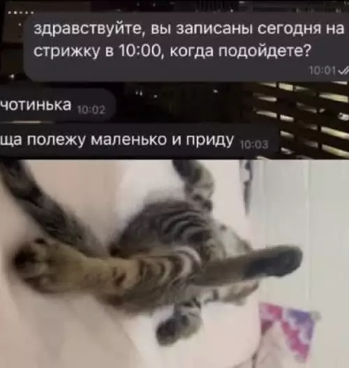 Смешная картинка №821528 Переписка