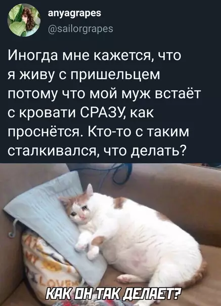 Смешная картинка №490329
