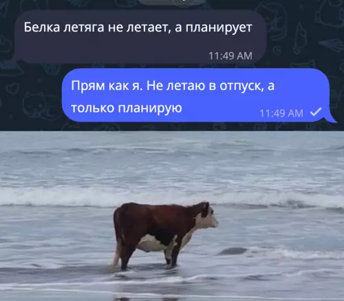 Смешная картинка №724513