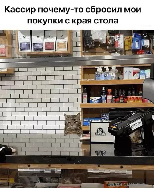 Смешная картинка №749889