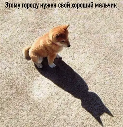 Смешная картинка №495157