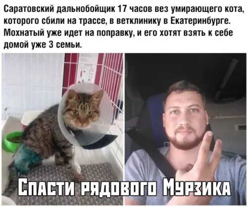 Смешная картинка №380081