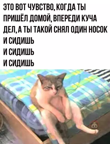 Смешная картинка №479198 Плюсуй, если жизуля