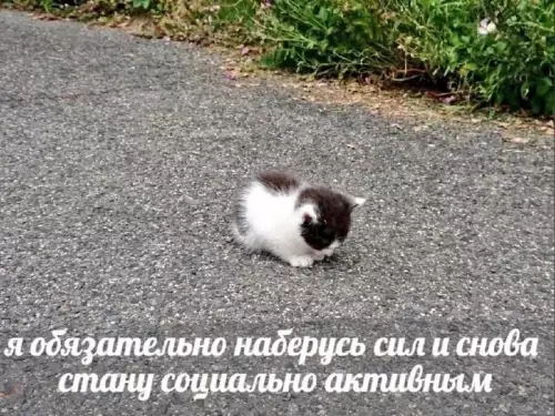 Смешная картинка №717406