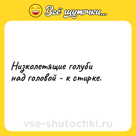 Шутка: Низколетящие голуби над головой - к стирке.
