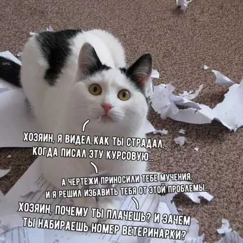 Смешная картинка №248797