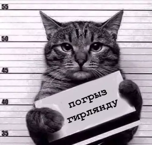 Смешная картинка №235583 Новогодняя криминальная сводка