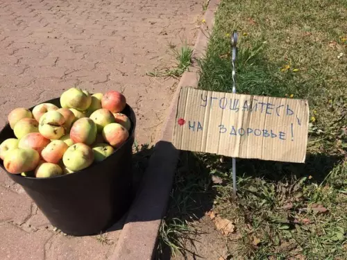 Смешная картинка №276748
