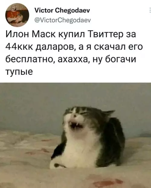 Смешная картинка №640323