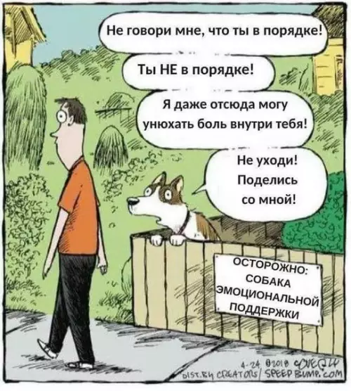 Смешная картинка №277651 Собаки