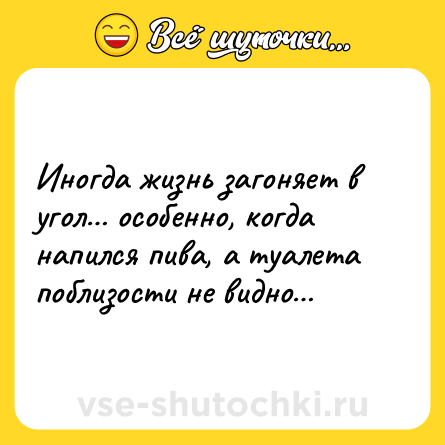 Шутка: Иногда жизнь загоняет в угол… особенно, когда напился пива, а туалета поблизости не видно…