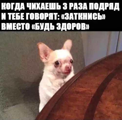 Смешная картинка №275472