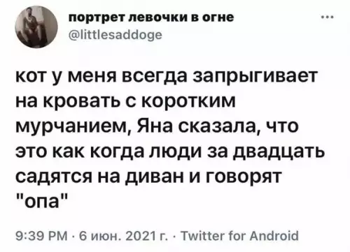 Смешная картинка №577977 Oпaчки