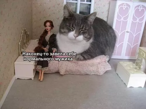 Смешная картинка №327332 Сильная и нeзависимая.