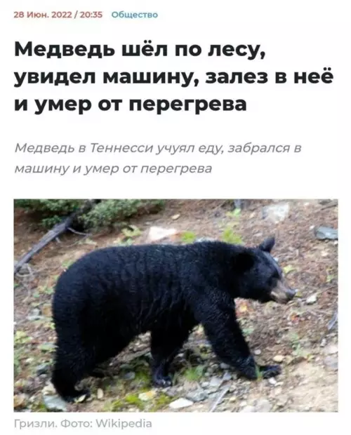 Смешная картинка №651319 Косплей года