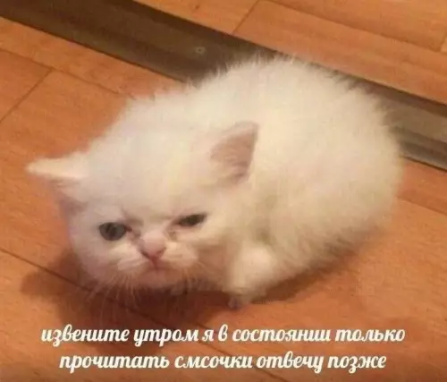 Смешная картинка №774563