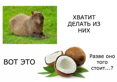 Смешная картинка №731816 Астанавитесь!