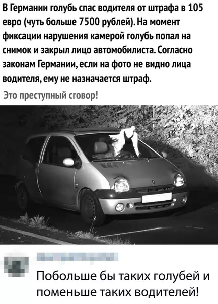 Смешная картинка №359423