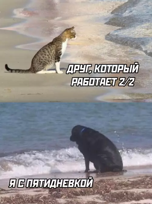 Смешная картинка №689809