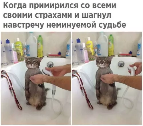 Смешная картинка №225962