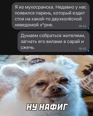 Смешная картинка №668200