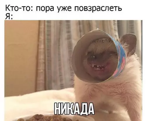 Смешная картинка №250285