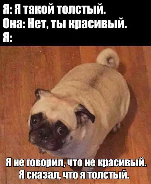 Смешная картинка №215038