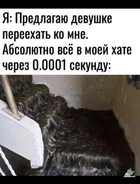 Смешная картинка №387522