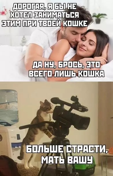 Смешная картинка №442515 Опять халтурите, чёрт вас дери!
