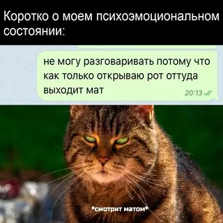 Смешная картинка №712361
