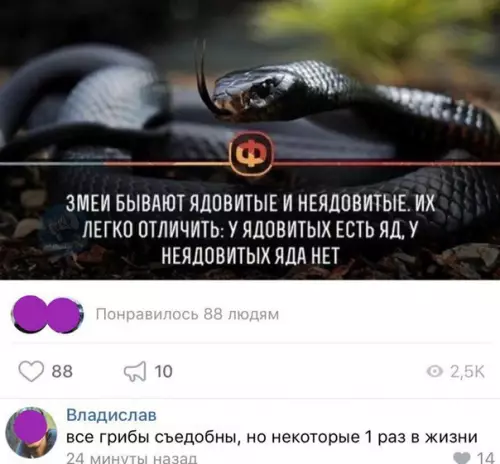 Смешная картинка №249880