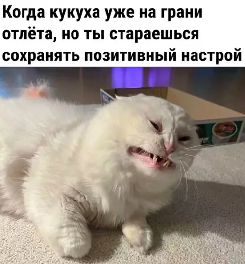 Смешная картинка №624951