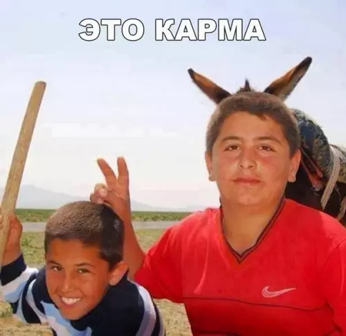Смешная картинка №240429