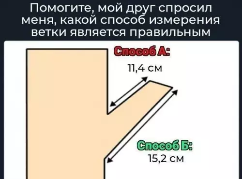 Математика вышла из чата 📐😂 - Помогите, мой друг спросил меня, какой способ измерения ветки является