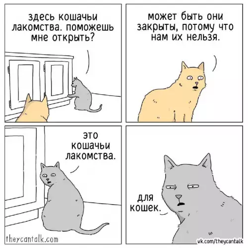 Смешная картинка №666644 Коты 