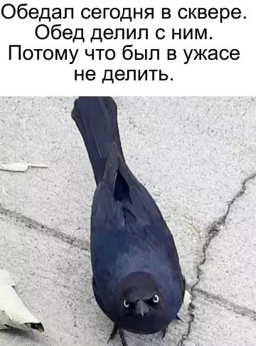 Смешная картинка №781502