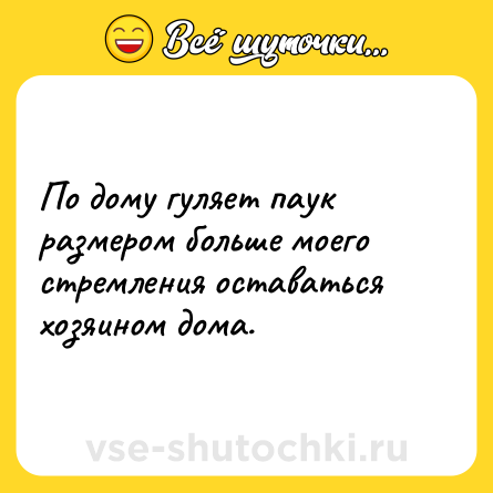 Шутка: По дому гуляет паук размером больше моего стремления оставаться хозяином дома.