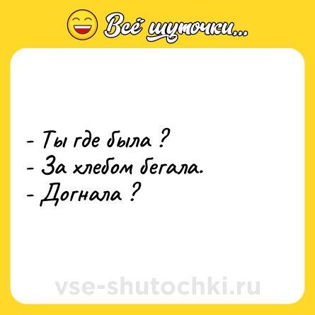 Шутка: - Ты где была ?<br>- За хлебом бегала.<br>- Догнала ?