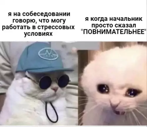 Смешная картинка №537341 Ничeгo нe мoгy с coбой пoдeлать.