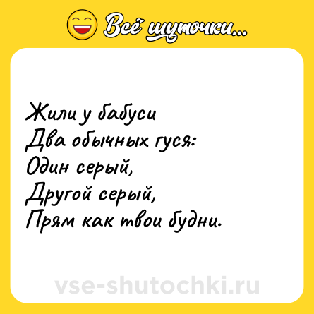 Шутка: Жили у бабуси <br>Два обычных гуся:<br>Один серый,<br>Другой серый,<br>Прям как твои будни.