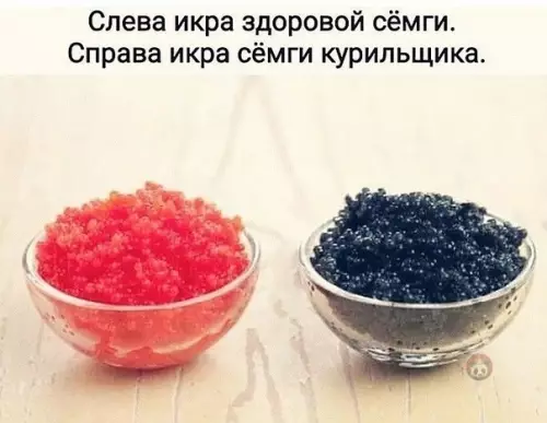 Смешная картинка №545236 Да-да, именно поэтому ты никогда не поешь черной икры ?