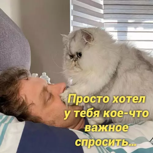 продолжение Смешная картинка №657085